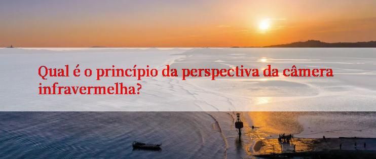 Qual é o princípio da perspectiva da câmera infravermelha?