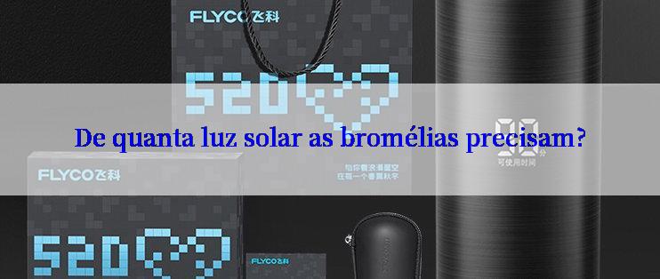 De quanta luz solar as bromélias precisam?