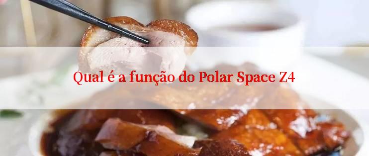 Qual é a função do Polar Space Z4