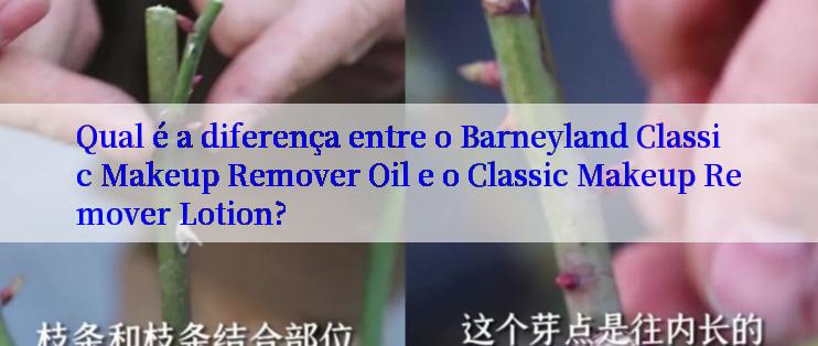 Qual é a diferença entre o Barneyland Classic Makeup Remover Oil e o Classic Makeup Remover Lotion?