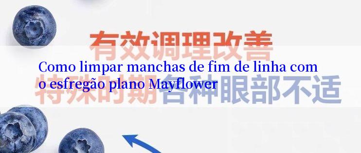 Como limpar manchas de fim de linha com o esfregão plano Mayflower