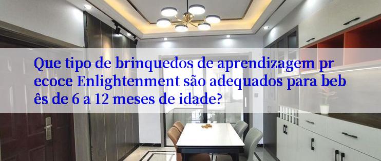 Que tipo de brinquedos de aprendizagem precoce Enlightenment são adequados para bebês de 6 a 12 meses de idade?