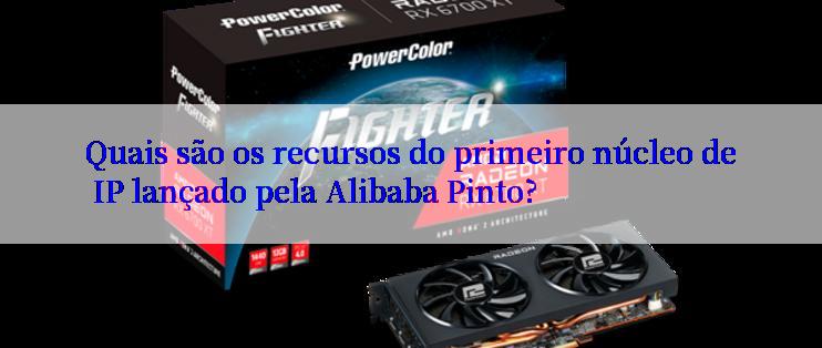 Quais são os recursos do primeiro núcleo de IP lançado pela Alibaba Pinto?