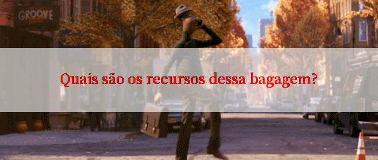 Quais são os recursos dessa bagagem?