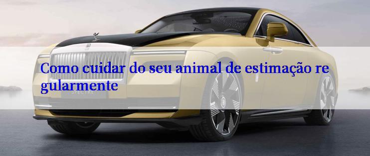 Como cuidar do seu animal de estimação regularmente