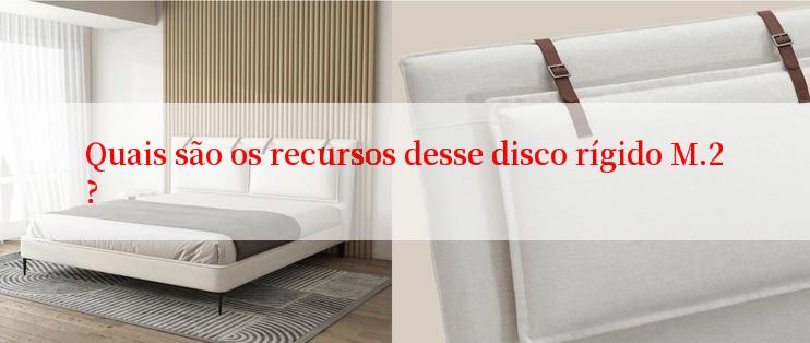 Quais são os recursos desse disco rígido M.2?