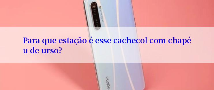 Para que estação é esse cachecol com chapéu de urso?