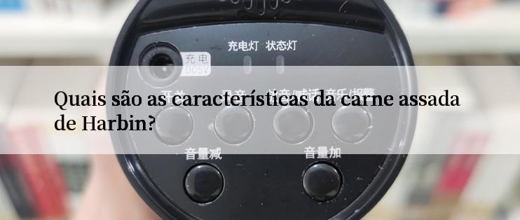 Quais são as características da carne assada de Harbin?