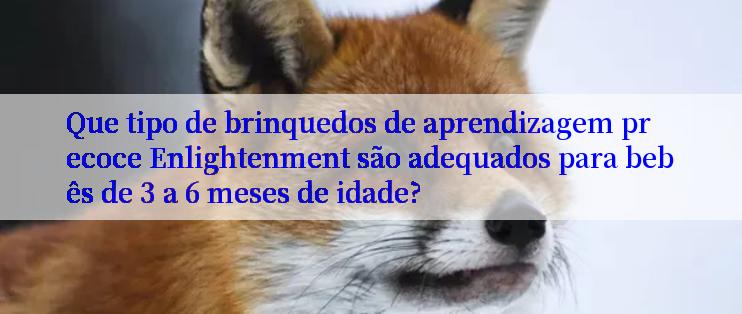 Que tipo de brinquedos de aprendizagem precoce Enlightenment são adequados para bebês de 3 a 6 meses de idade?