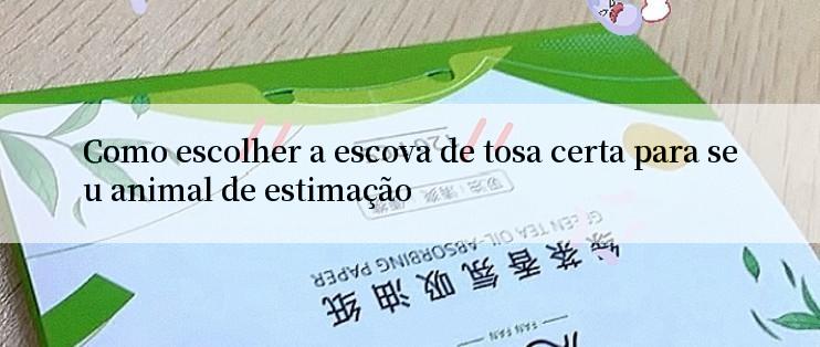 Como escolher a escova de tosa certa para seu animal de estimação