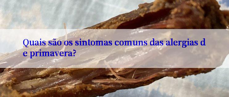 Quais são os sintomas comuns das alergias de primavera?