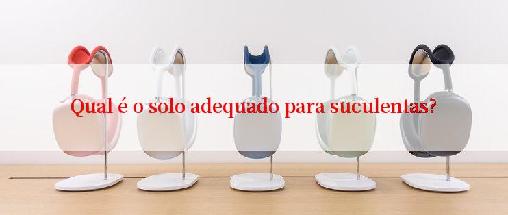 Qual é o solo adequado para suculentas?