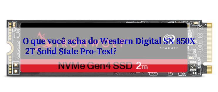 O que você acha do Western Digital SN 850X 2T Solid State Pro-Test?