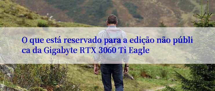 O que está reservado para a edição não pública da Gigabyte RTX 3060 Ti Eagle