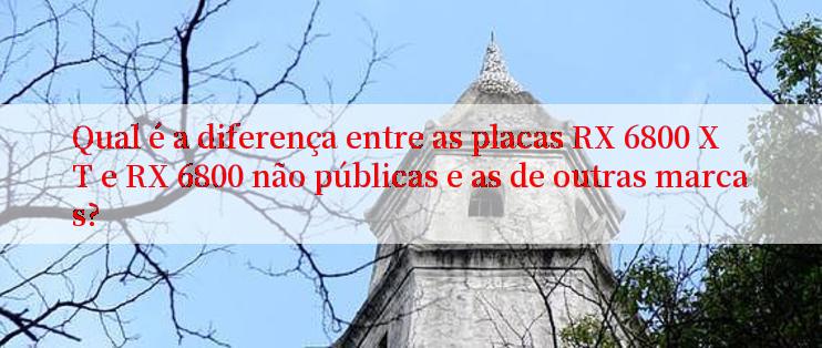Qual é a diferença entre as placas RX 6800 XT e RX 6800 não públicas e as de outras marcas?