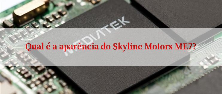 Qual é a aparência do Skyline Motors ME7?