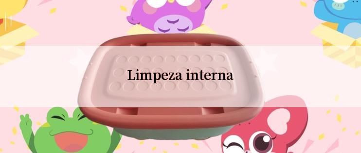 Limpeza interna