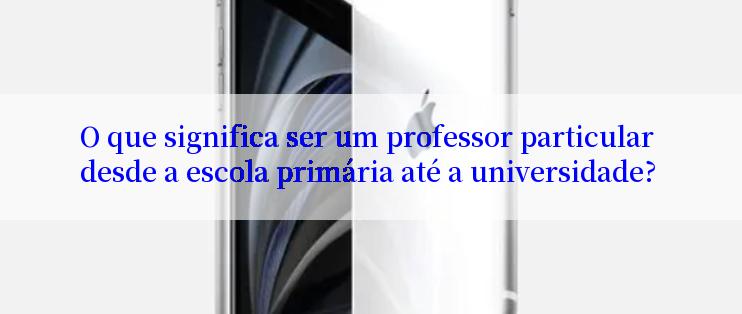 O que significa ser um professor particular desde a escola primária até a universidade?