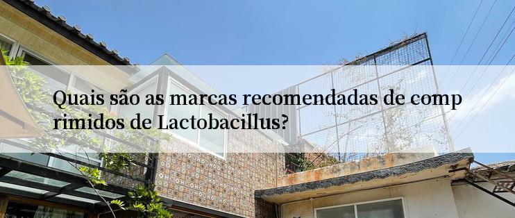 Quais são as marcas recomendadas de comprimidos de Lactobacillus?