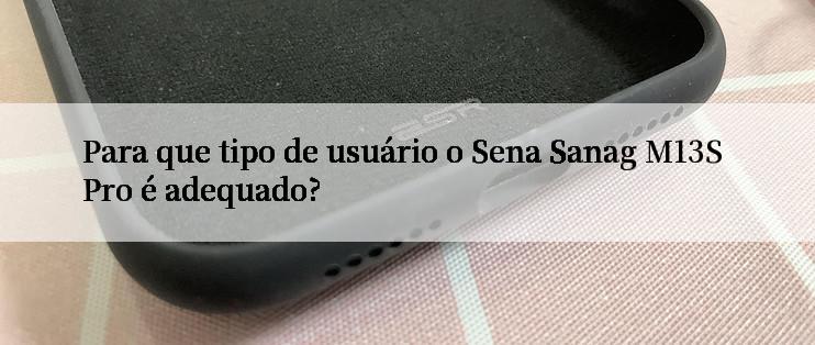 Para que tipo de usuário o Sena Sanag M13S Pro é adequado?