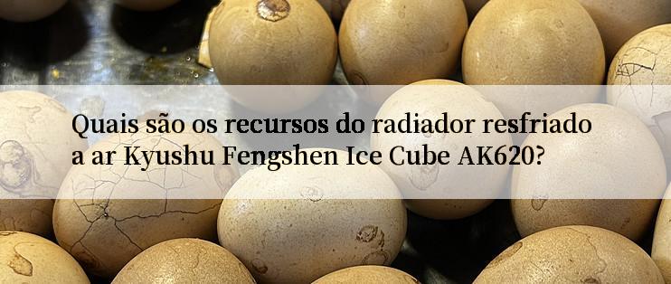 Quais são os recursos do radiador resfriado a ar Kyushu Fengshen Ice Cube AK620?