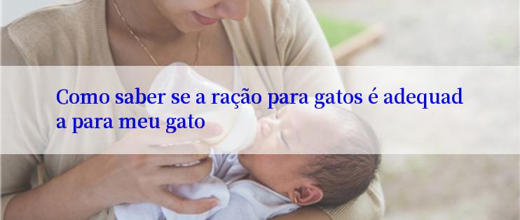 Como saber se a ração para gatos é adequada para meu gato