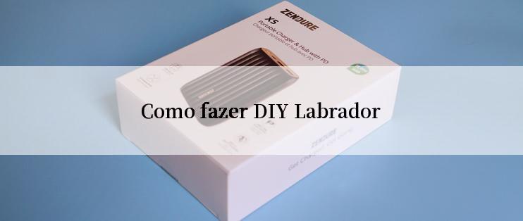 Como fazer DIY Labrador