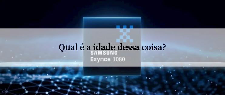 Qual é a idade dessa coisa?