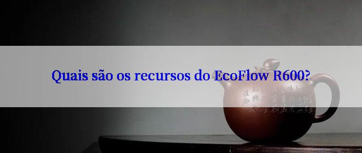 Quais são os recursos do EcoFlow R600?