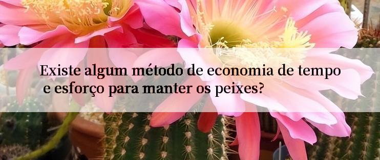 Existe algum método de economia de tempo e esforço para manter os peixes?