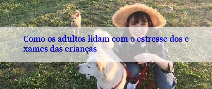 Como os adultos lidam com o estresse dos exames das crianças