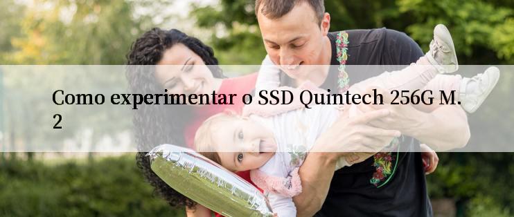 Como experimentar o SSD Quintech 256G M.2