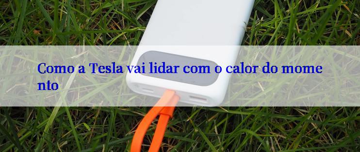 Como a Tesla vai lidar com o calor do momento