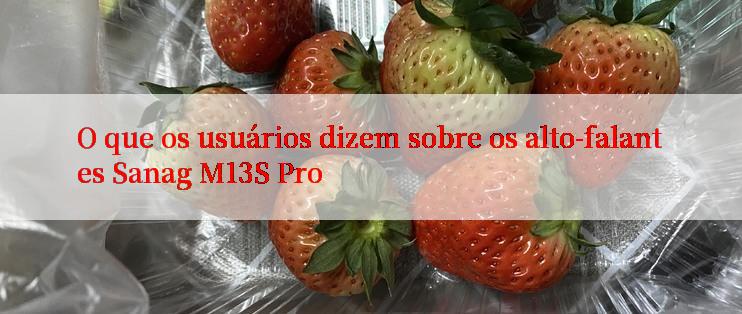 O que os usuários dizem sobre os alto-falantes Sanag M13S Pro