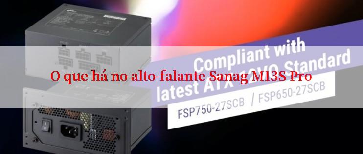 O que há no alto-falante Sanag M13S Pro