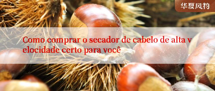 Como comprar o secador de cabelo de alta velocidade certo para você