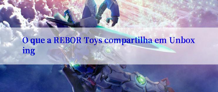 O que a REBOR Toys compartilha em Unboxing