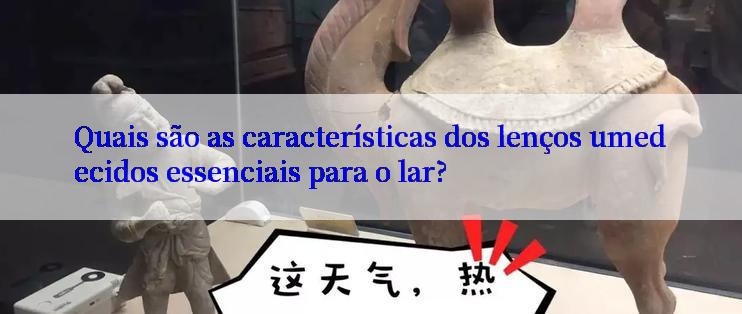 Quais são as características dos lenços umedecidos essenciais para o lar?