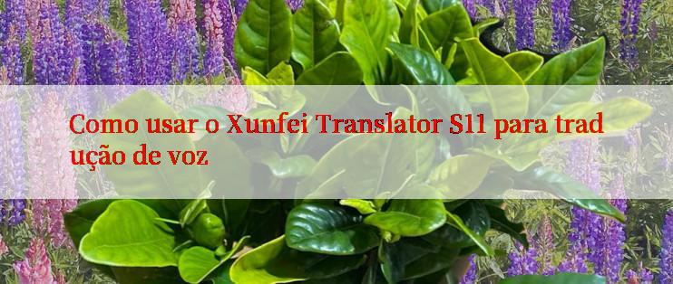 Como usar o Xunfei Translator S11 para tradução de voz