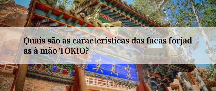 Quais são as características das facas forjadas à mão TOKIO?