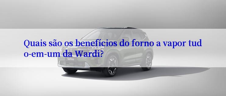 Quais são os benefícios do forno a vapor tudo-em-um da Wardi?