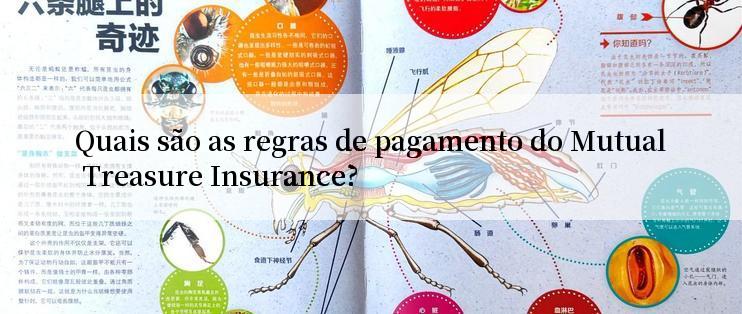 Quais são as regras de pagamento do Mutual Treasure Insurance?