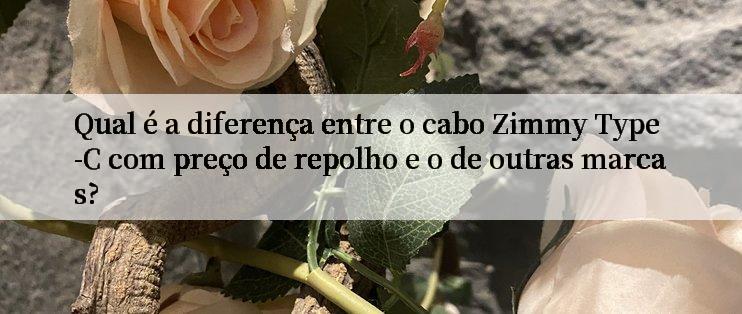 Qual é a diferença entre o cabo Zimmy Type-C com preço de repolho e o de outras marcas?