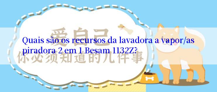 Quais são os recursos da lavadora a vapor/aspiradora 2 em 1 Besam 1132Z?