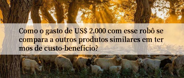 Como o gasto de US$ 2.000 com esse robô se compara a outros produtos similares em termos de custo-benefício?