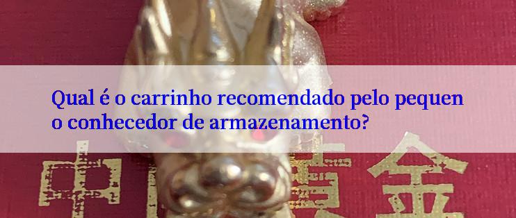 Qual é o carrinho recomendado pelo pequeno conhecedor de armazenamento?