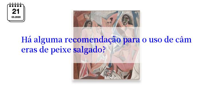 Há alguma recomendação para o uso de câmeras de peixe salgado?