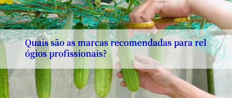 Quais são as marcas recomendadas para relógios profissionais?