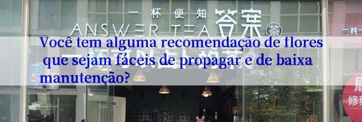 Você tem alguma recomendação de flores que sejam fáceis de propagar e de baixa manutenção?