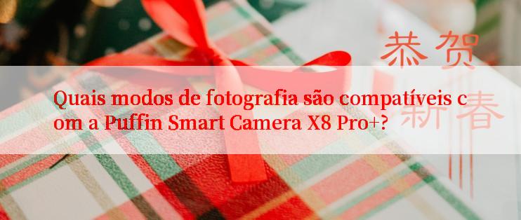 Quais modos de fotografia são compatíveis com a Puffin Smart Camera X8 Pro+?